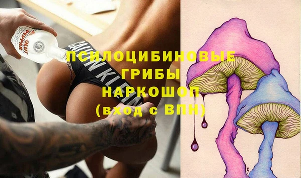 прущий лед Нея