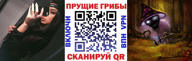 купить наркотики сайты  Озёры  Галлюциногенные грибы прущие грибы 